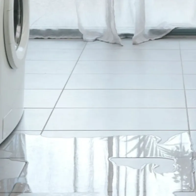 Appliance Leak Cleanup in Saint Clair, PA