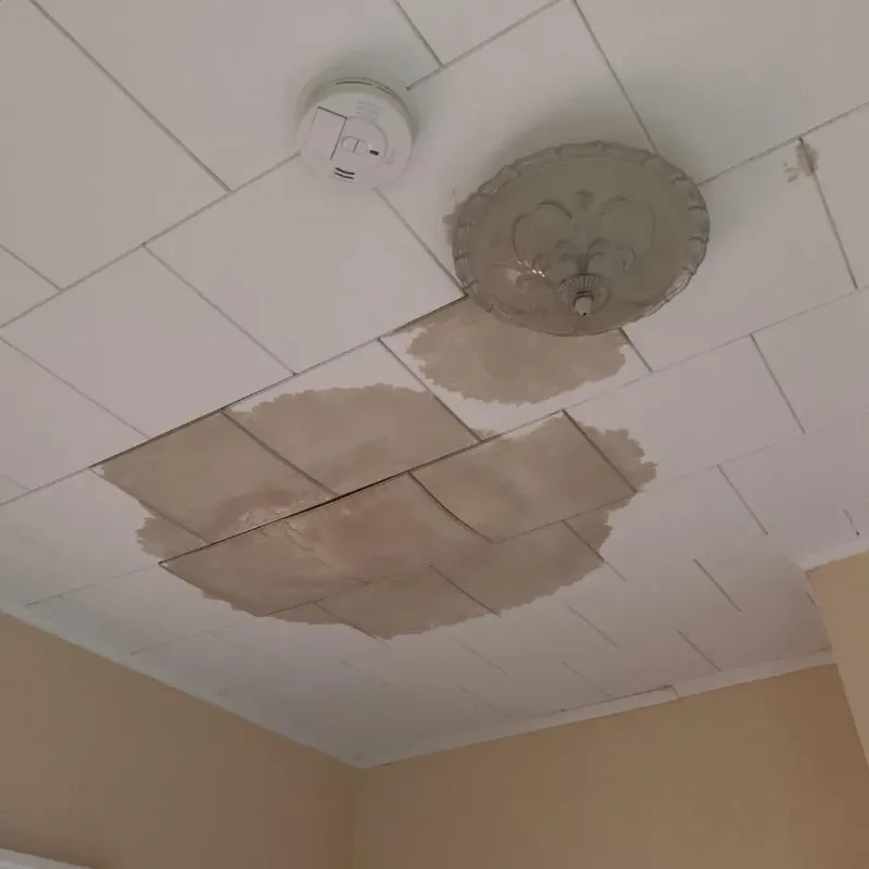 Ceiling Water Damage Repair in Saint Clair, PA