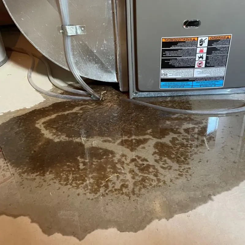 Pipe Burst and Leak Restoration in Saint Clair, PA