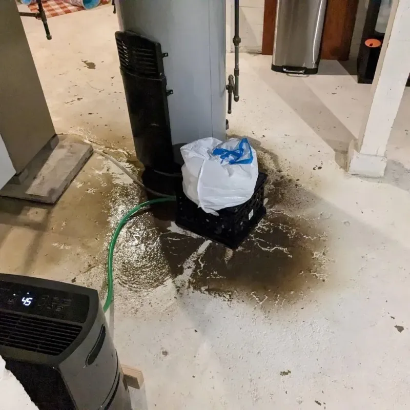 Sewage Backup Cleanup Service in Saint Clair, PA